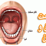 مقاله در مورد بهداشت دهان و دندان
