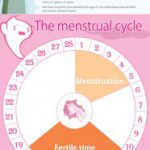 قاعدگی (پریود)-عادت ماهیانه (Menstruation )